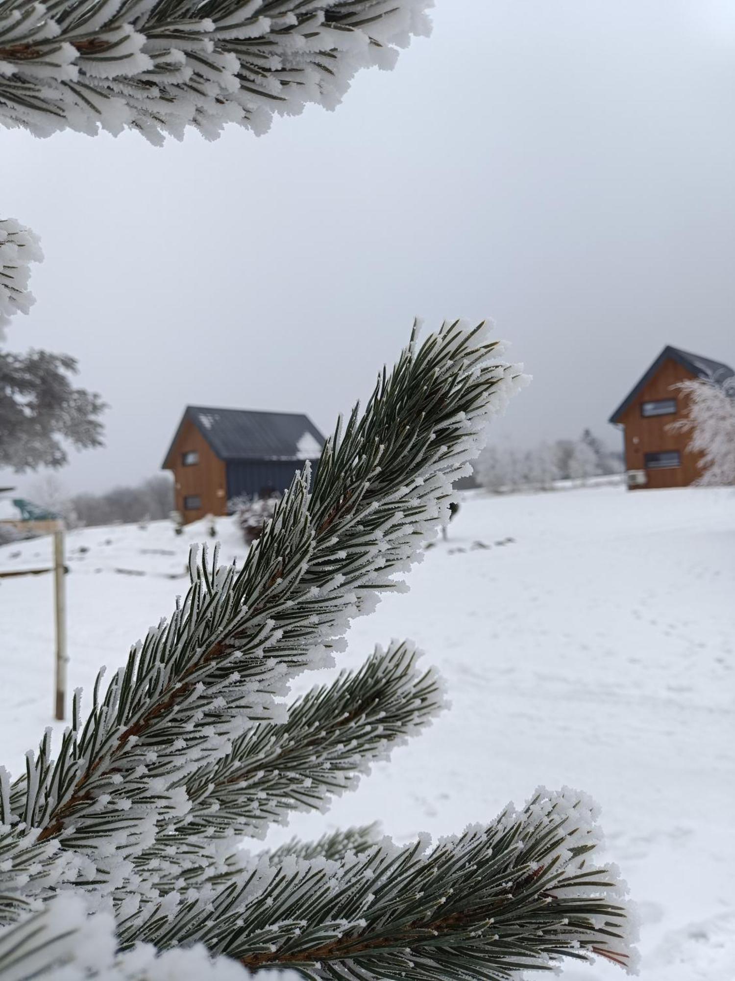 Chutor Grzegorza Lodge Wysowa-Zdrój